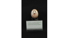 Logo for JA Ukraine Egg