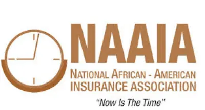 Logo for sponsor NAAIA